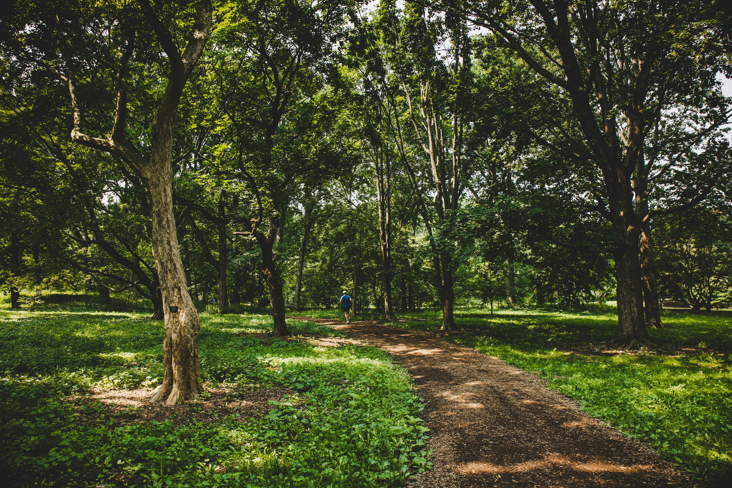 Lush green park and pond in Greater Boston